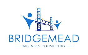 Bridgemead Consulting Job Vacancy- Construction Technical Assistant